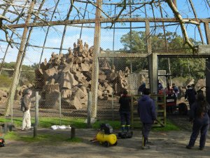 Zoo Parque Lecocq em Montevidéu: instalações