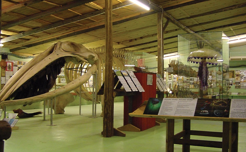 Museo del Mar em Punta del Este