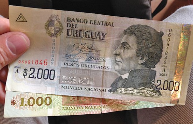 Pesos uruguaios em espécie