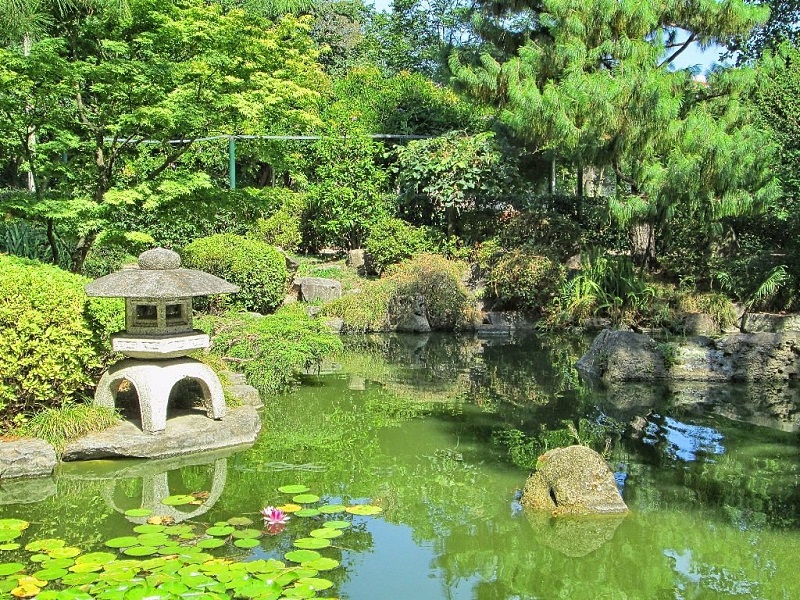 Natureza no Jardim Japonês em Montevidéu